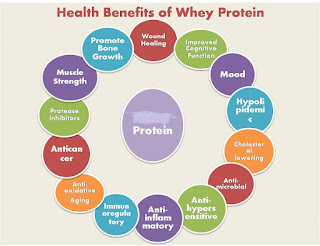 10 benefits of protein