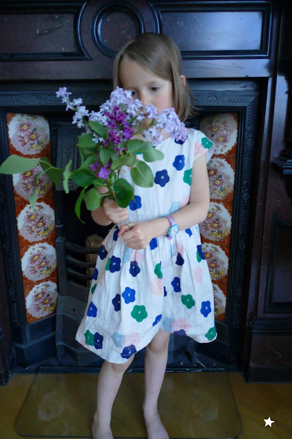 flowers lilas