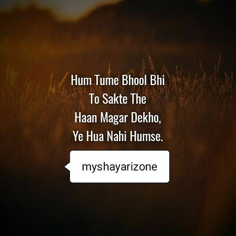 Tumko Naa Bhool Payenge Sensitive Breakup Shayari Lines