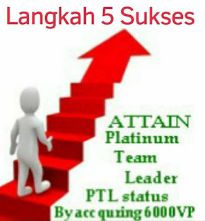 sfi-platinumteamleader