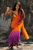 shanvi spicy galley in saree cute stills