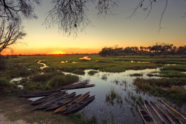 Footsteps In Africa Botswana