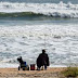 Read the surf for fishing