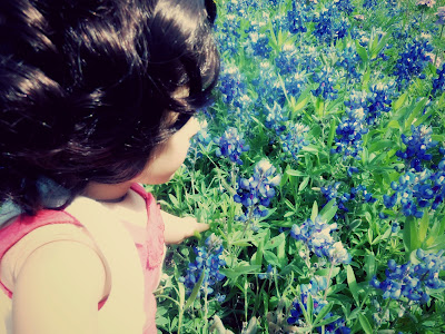 Spring Flowers