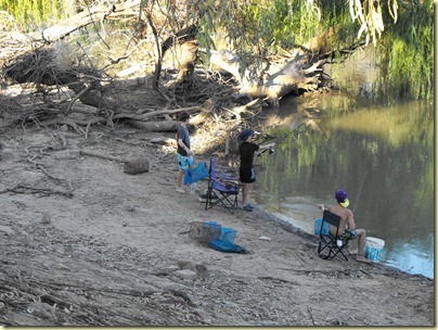 Swan Hill (340)
