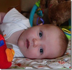 May 2010 034