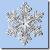FrokenFrost
