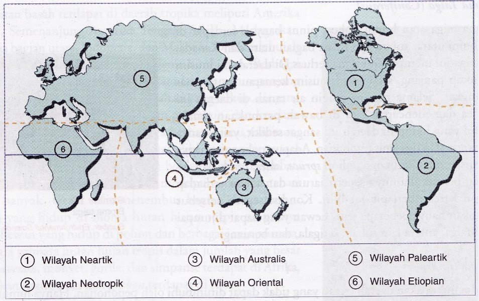 SAYHELLOTOME31 Geografi Kelas XI BAB 1 4 Biosfer 