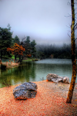 Paisaje fascinante con río, arena y arboles de colores