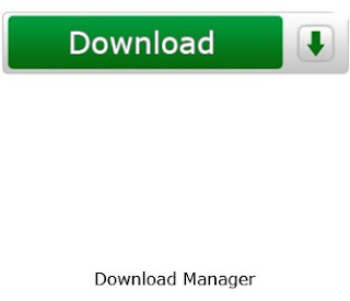 100% Free Download Manager