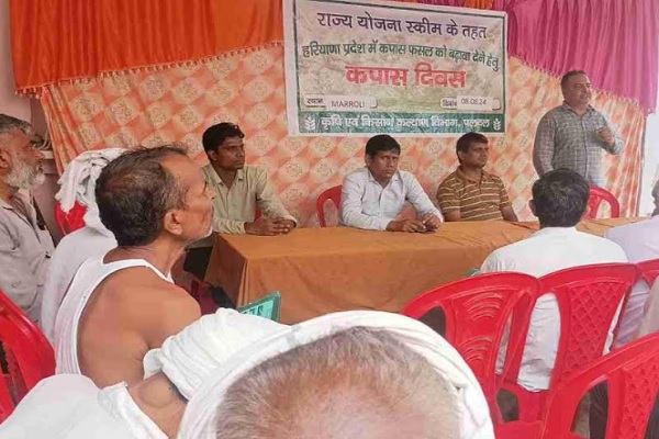 Kapas-Day-By-Agriculture-Department-In-Palwal