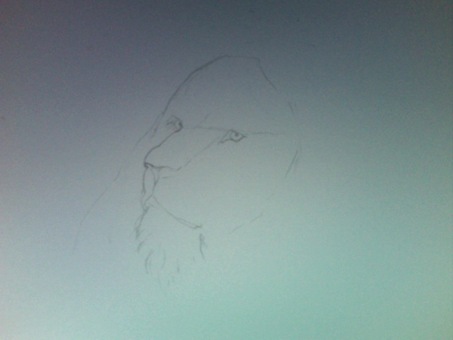 Desenhando leão 1