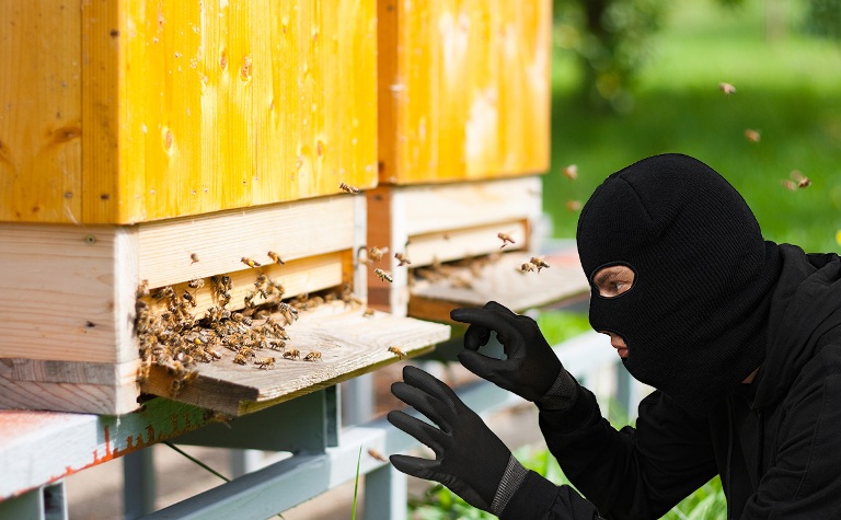 Κλοπές Μελισσιών