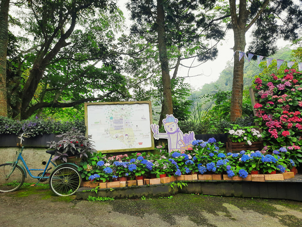 台中新社薰衣草森林繡球花、旋轉木馬、小木屋，好像進到童話世界