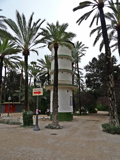 widok na gaj palmowy w Elche, Hiszpania
