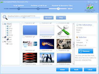 http://www.lionsea.com/product_corruptedphotorecoverypro.php