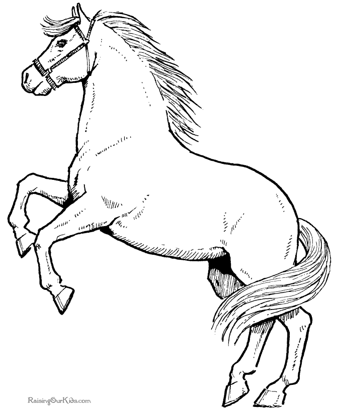 Horse Coloring Pages For Kids 5