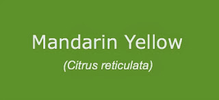 Mandarin Yellow Essential Oil