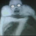 Mysterious Creature Caught On Camera Louisiana Forest