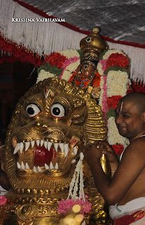 Aani,Simha, Vahanam,Sri Theliya Singar, Yoga Narasimhar,Brahmotsavam ,Purappadu,Video, Divya Prabhandam,Sri Parthasarathy Perumal, Triplicane,Thiruvallikeni,Utsavam,