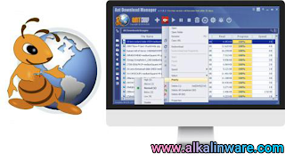 Ant Download Manager PRO 2