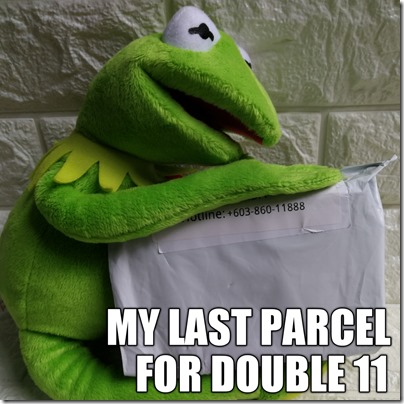 Kermit Shopping Memes Receive Parcel