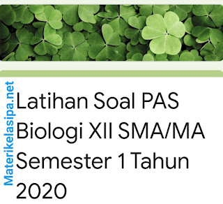 Contoh Soal UAS/PAS Biologi SMA/MA Kelas 12 Semester 1