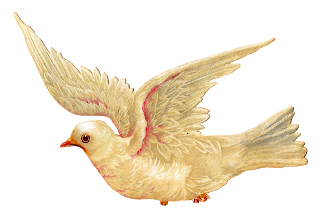 white dove clipart Victorian die cut image