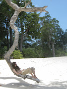 Port Blair, Neil Island & Havelock Island (picture )