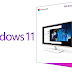 Microsoft Windows 11 build 21996.1 x64 ISO File Free Download