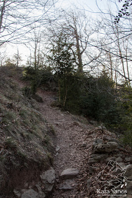 Ruta: Puigsacalm (1.515 m) y Puig de les Àligues (1.344 m) (Els 100 Cims)