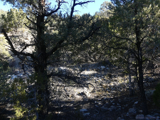 04: trees and rocks and not much else