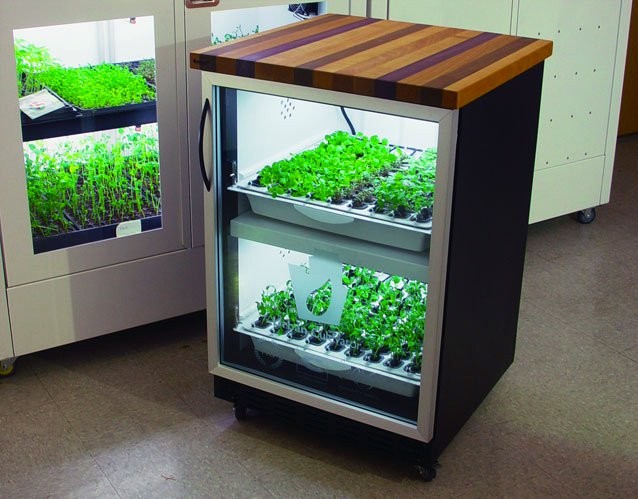 The New York Green Advocate: Haute Hydroponics: Urban Cultivator Indoor Growing System