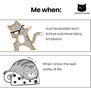 Funny cat jokes by rowdycattoys.com