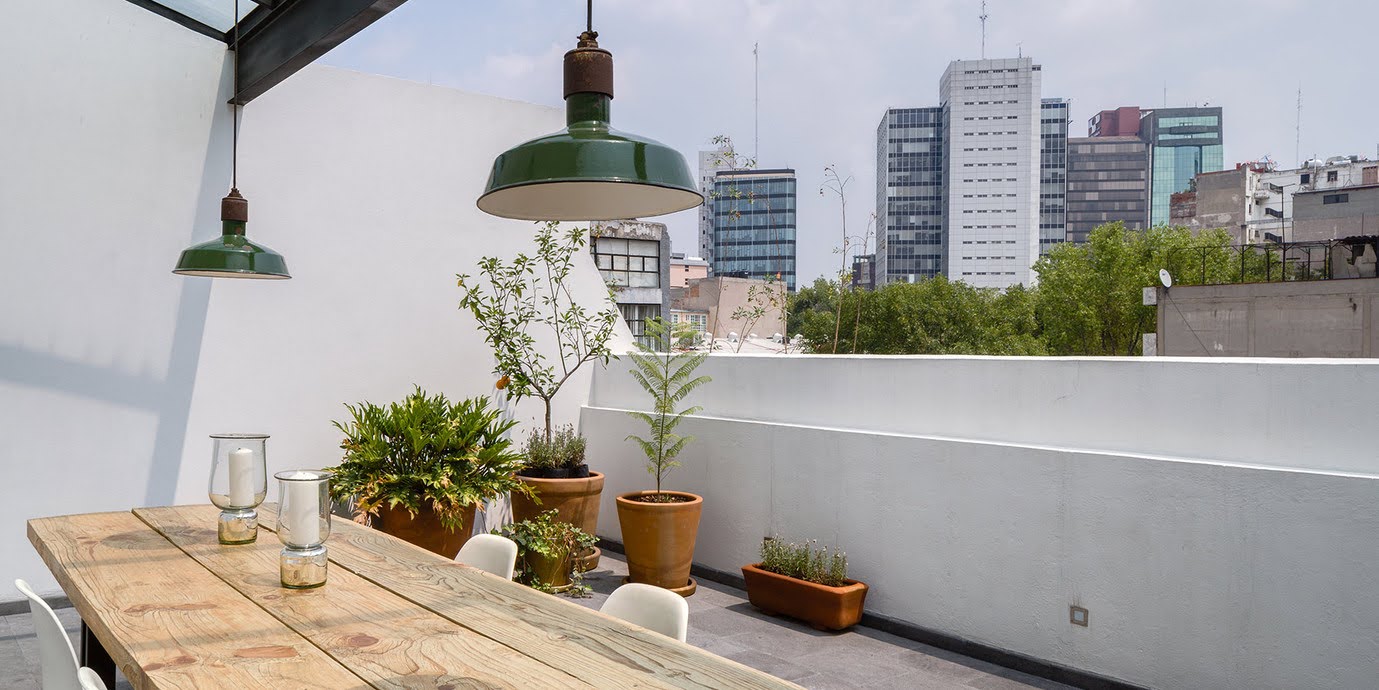 Restauración sustentable en la Ciudad de México - Tapia McMahon