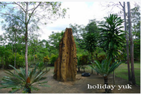 Wasur - Garden paradise in the land of Papua