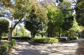 DSC 0166