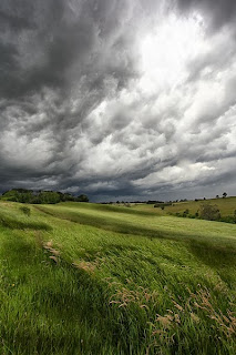 Greendale Storm