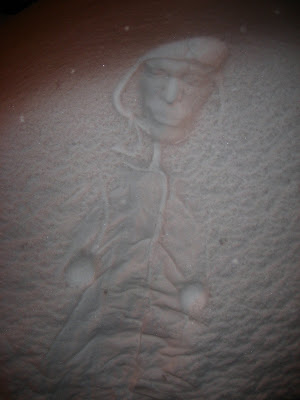 Amazing Snow Prints absolutely incredible