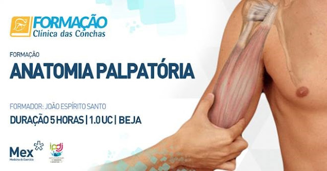 https://formacao.clinicadasconchas.pt/pt/formacao/2271/anatomia-palpatoria/