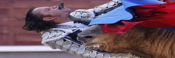 بعض الاحداث التى وقعت فى العام الماضى 2010 اعرضها لكم كصور بأناقته