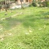 Ambernath East, 10 Acres, Residential Plot / Land for Sale, MIDC Road, Ambernath East, Maharashtra.