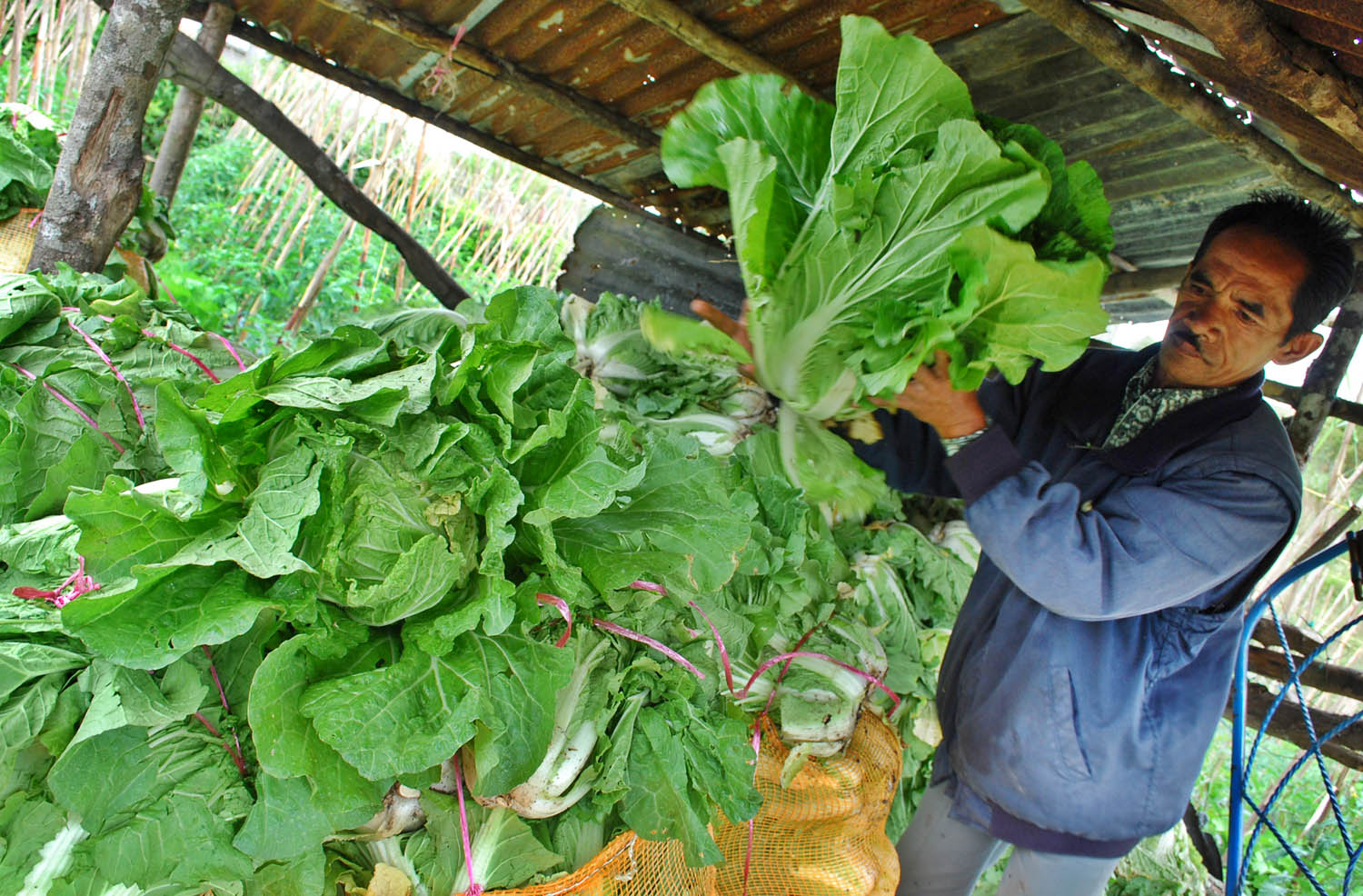 Objek Wisata Kebun Binatang Di Daerah Kota Bukittinggi