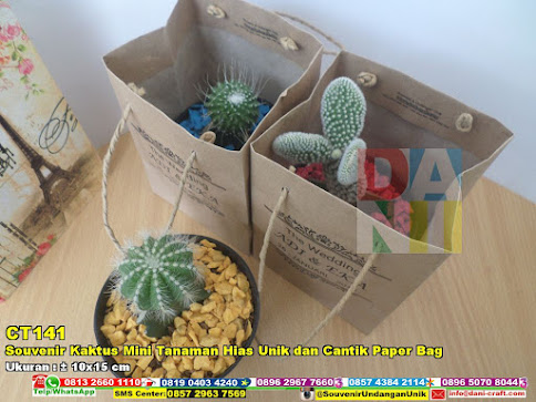 Souvenir Kaktus Mini Tanaman Hias Unik Dan Cantik Paper 