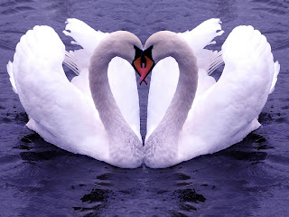 Love Wallpapers 2012