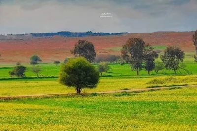 الطبيعة فى منطقة قندولة شرق ليبيا الجبل الاخضر
