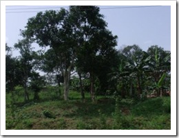 DSCF7096