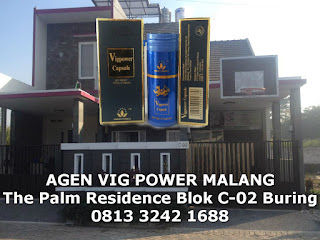 agen vig power capsule di malang