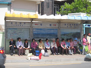 . with our chatty octogenarian bus mates (60+ being our demographic of . (korea bus stop)