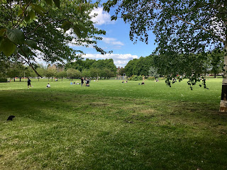 A grassy field with lots of people sitting in it.